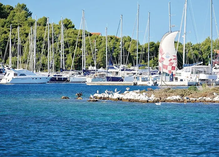 One-bedroom In Daire